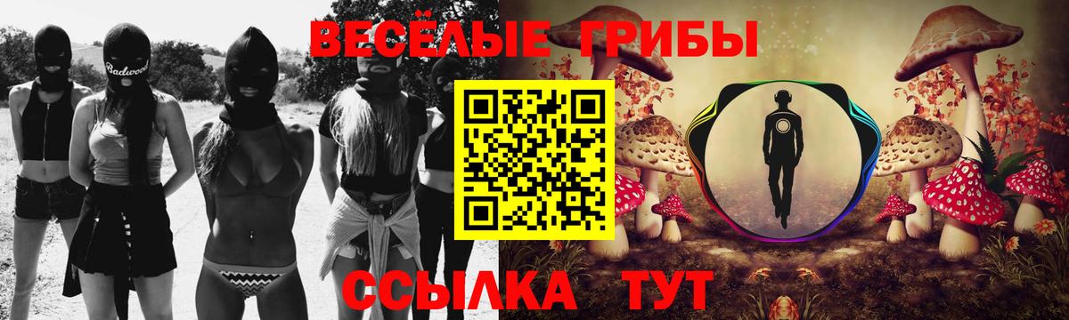Салават  Псилоцибиновые грибы Psilocybine cubensis  Вход с VPN  Псилоцибиновые грибы Psilocybe 